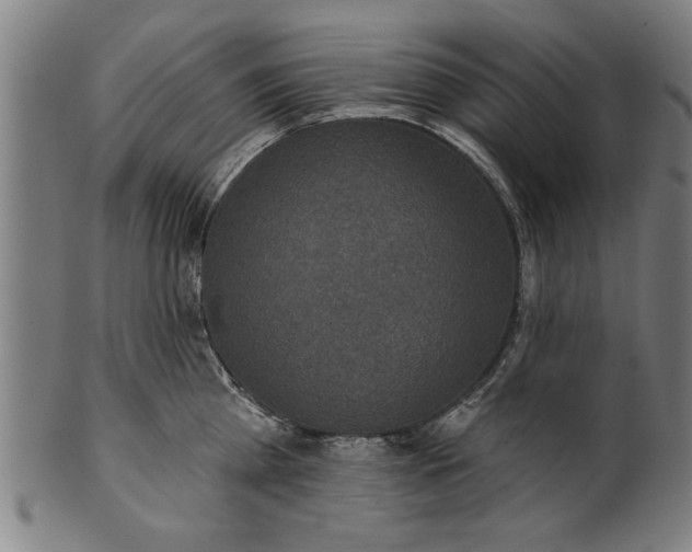 X0000101200809200807111008