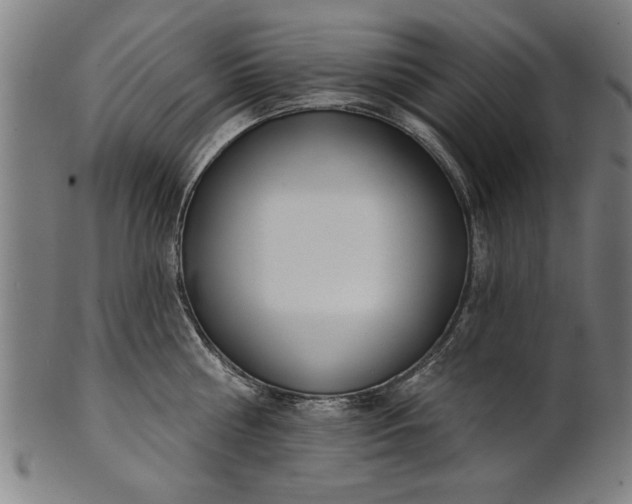 X0000101200810200807111008
