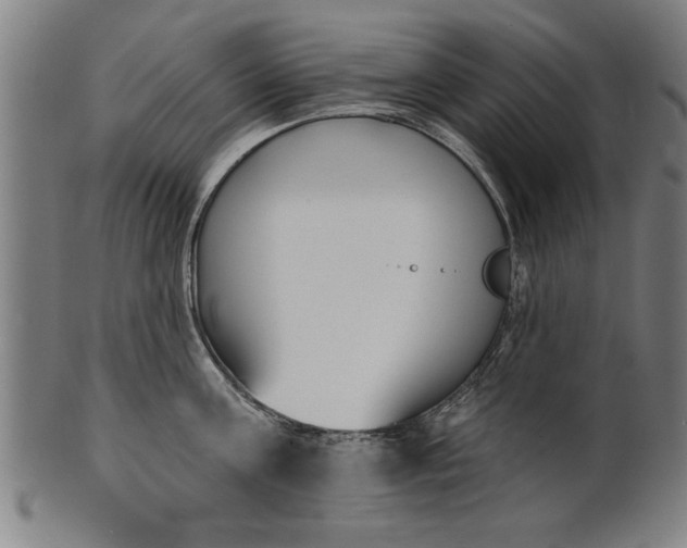 X0000101200811200807111008