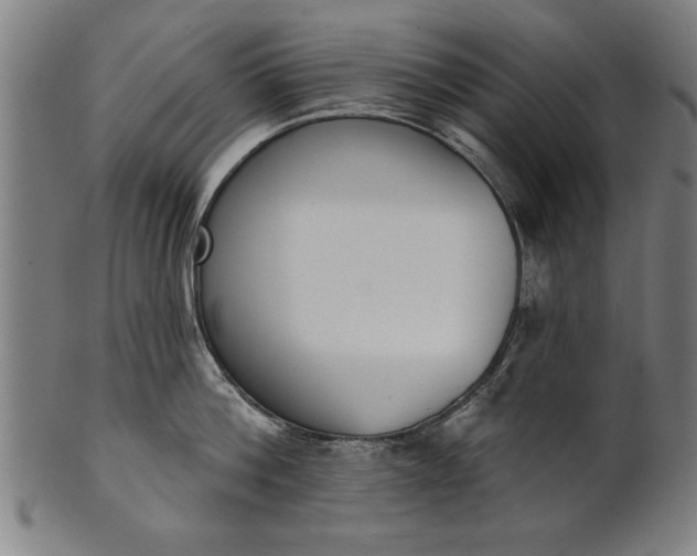 X0000101200812200807111008