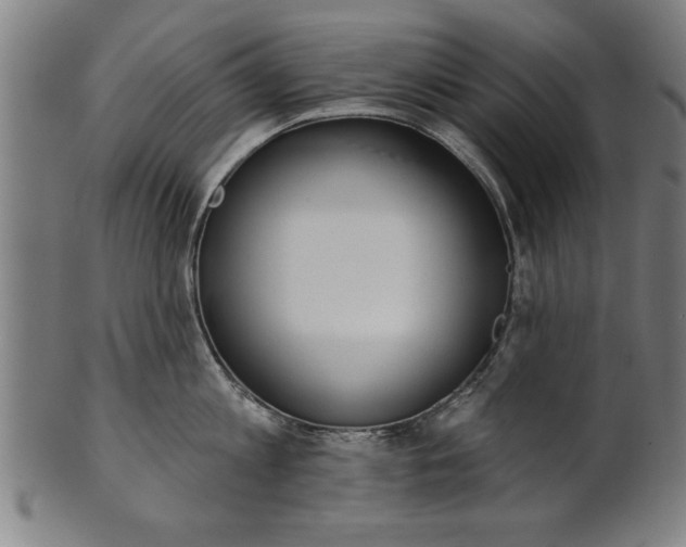 X0000101200813200807111008