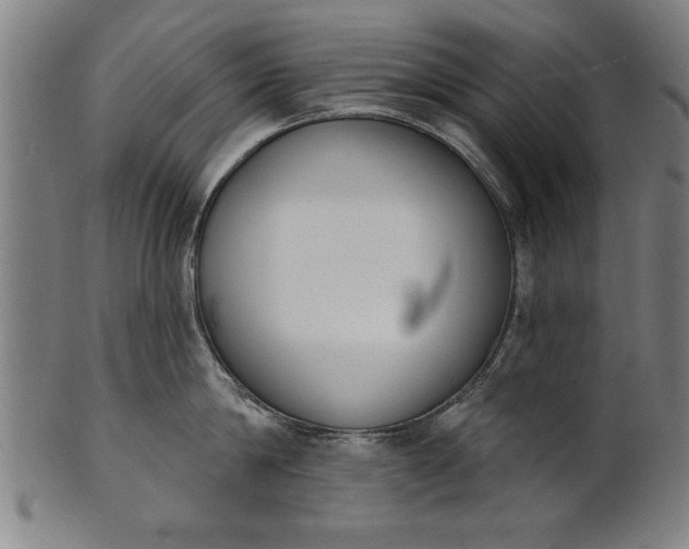 X0000101200814200807111008