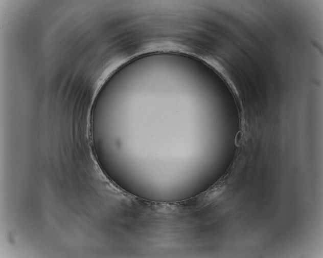 X0000101200815200807111008