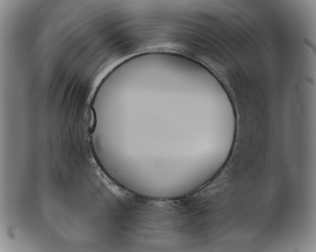 X0000101200816200807111008