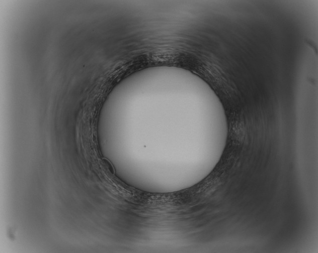 X0000101200817200807111007