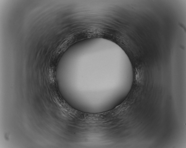 X0000101200819200807111007