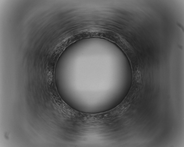 X0000101200821200807111007