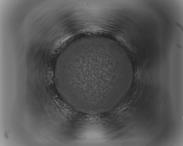 X0000101200822200807111007
