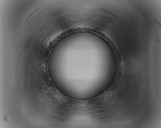 X0000101200823200807111007