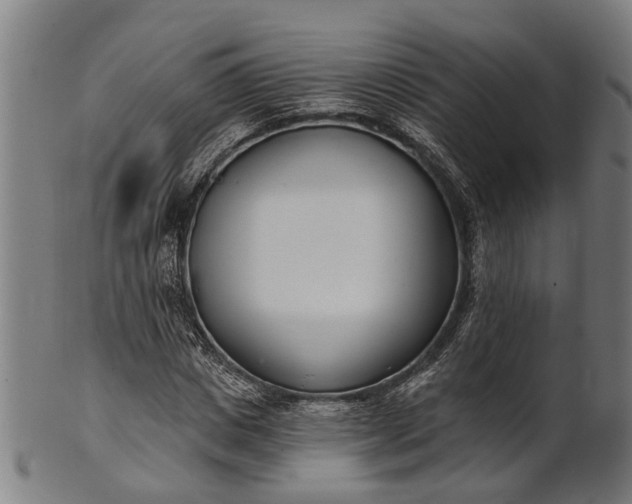 X0000101200825200807111007