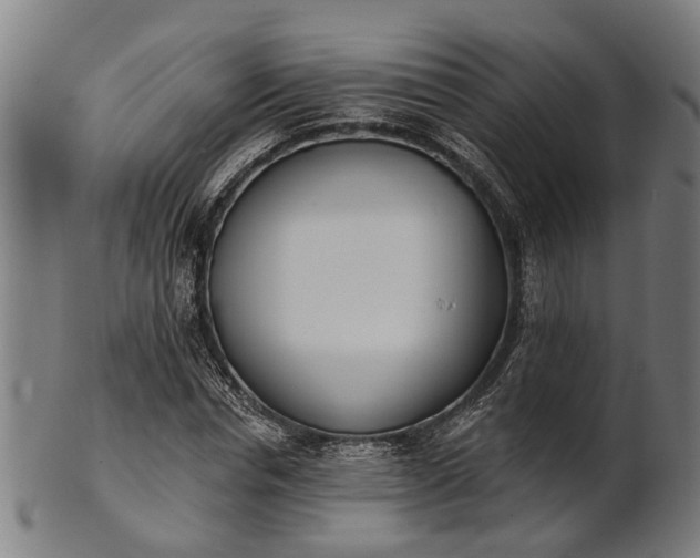 X0000101200826200807111007