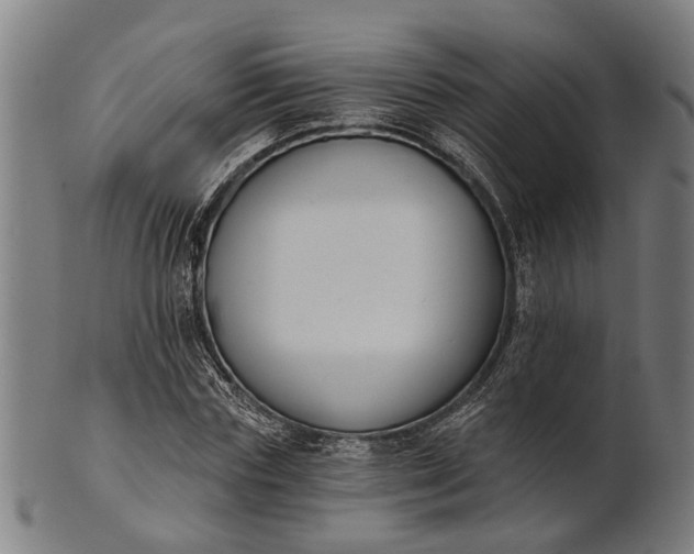 X0000101200827200807111007
