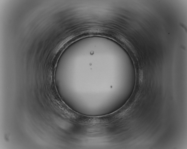 X0000101200829200807111007