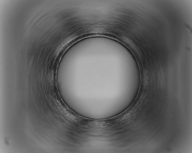 X0000101200831200807111007
