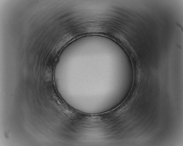 X0000101200833200807111007