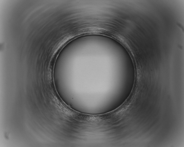 X0000101200835200807111007
