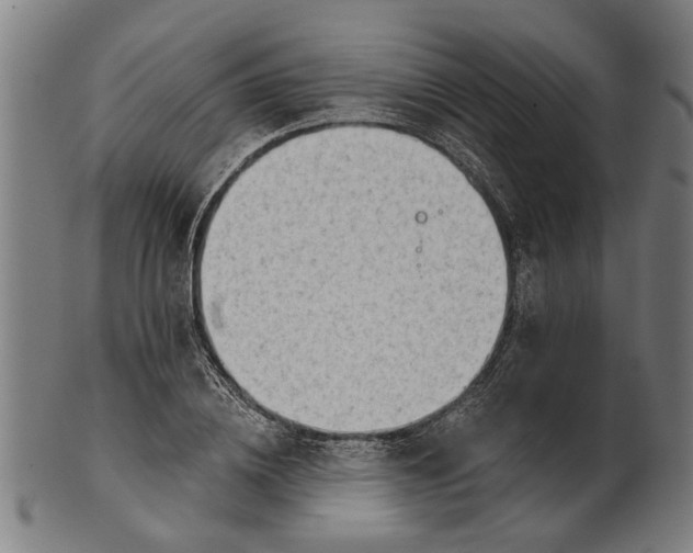 X0000101200836200807111007