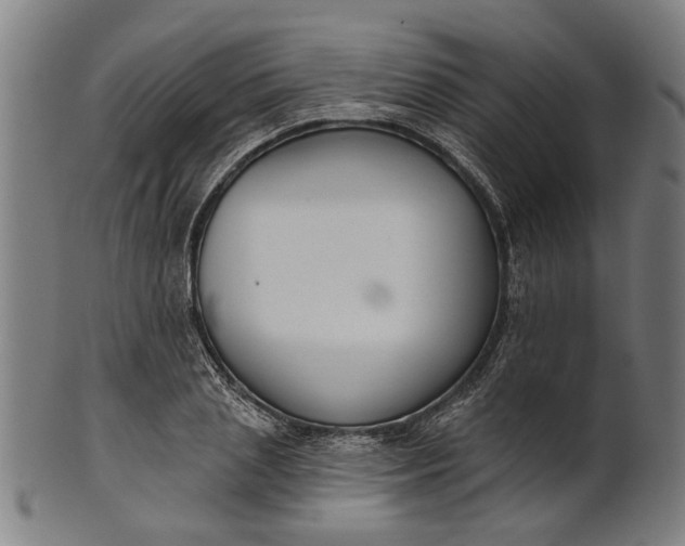 X0000101200837200807111007