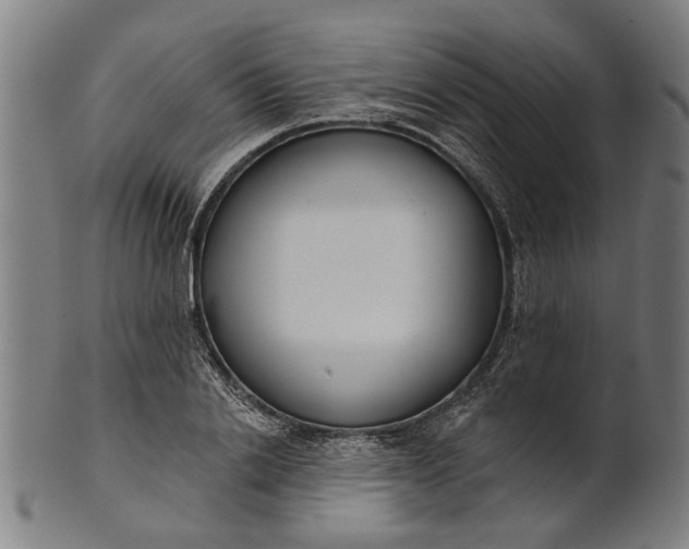 X0000101200838200807111008