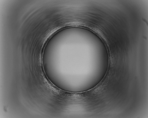 X0000101200839200807111008