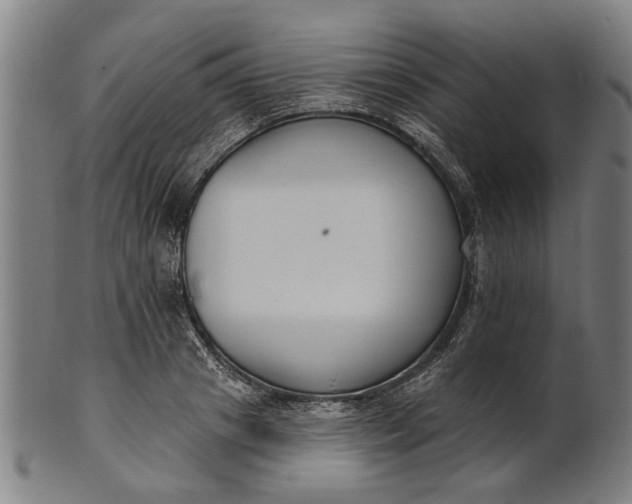 X0000101200841200807111008