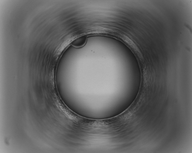 X0000101200842200807111008