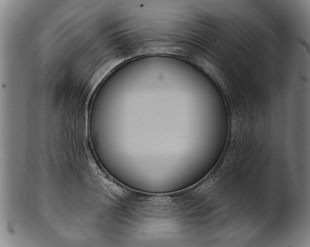 X0000101200844200807111008