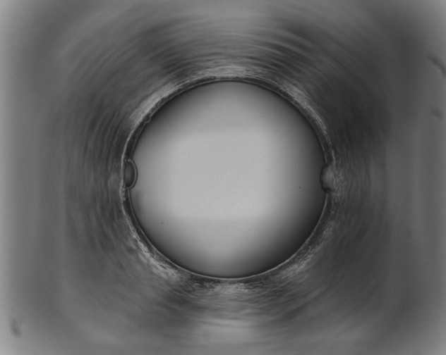 X0000101200845200807111008