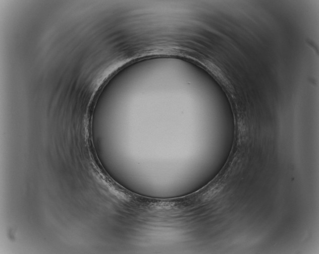 X0000101200846200807111008