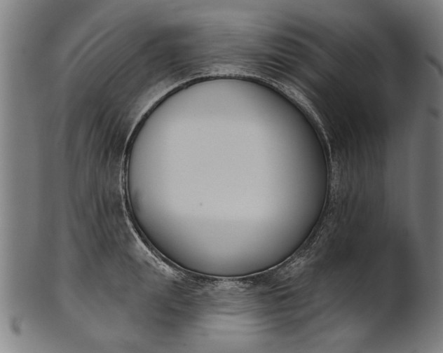 X0000101200847200807111008