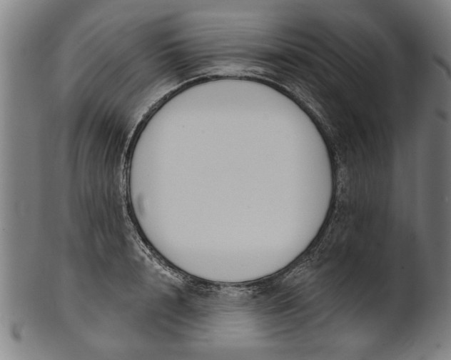 X0000101200848200807111008