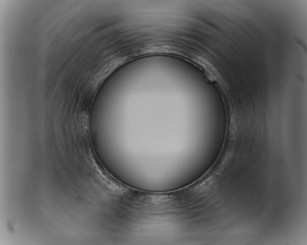 X0000101200849200807111008