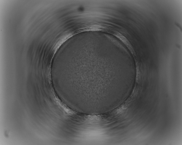 X0000101200850200807111008