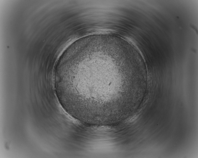 X0000101200851200807111008
