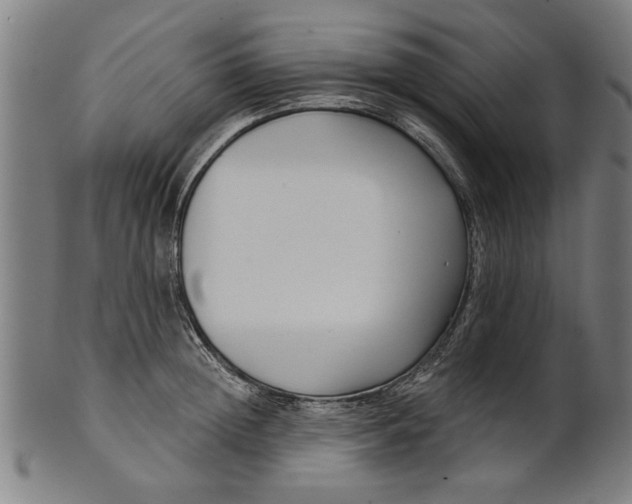 X0000101200852200807111008