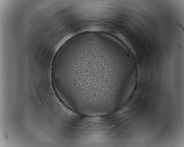 X0000101200853200807111008