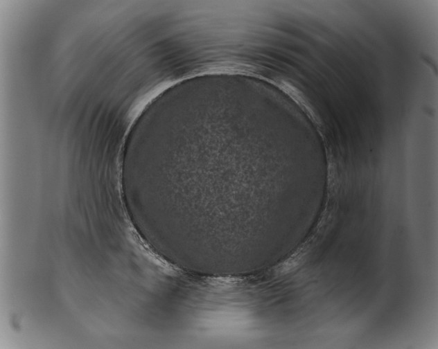 X0000101200854200807111008