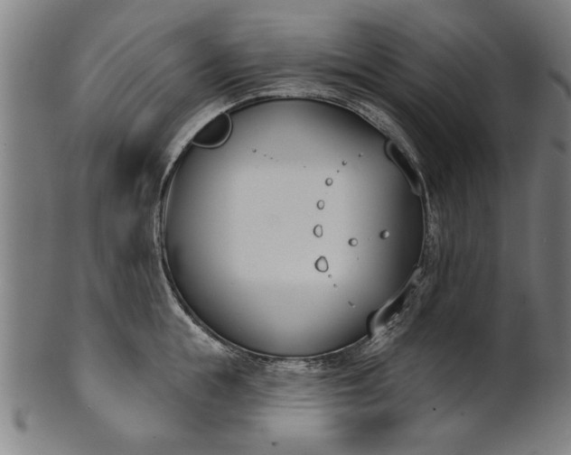 X0000101200855200807111008
