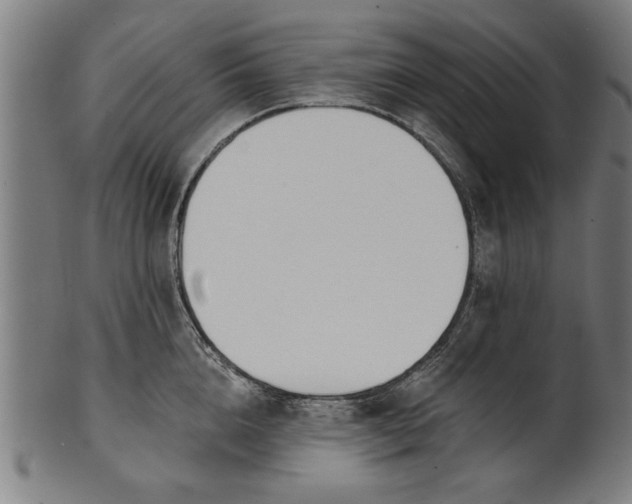 X0000101200856200807111008