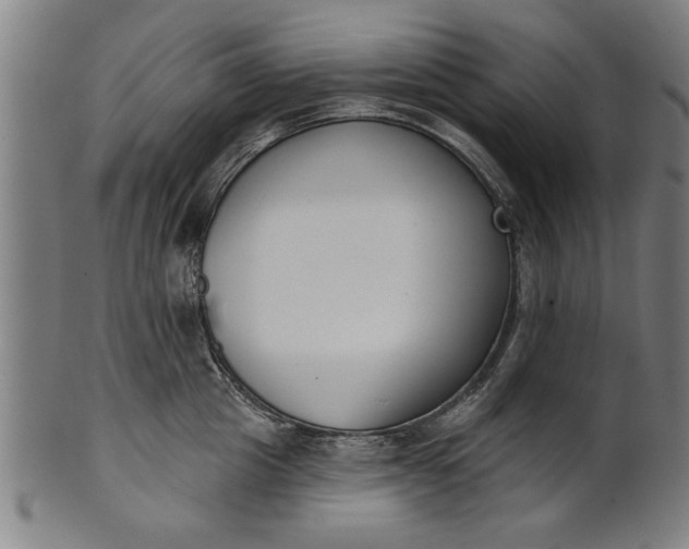 X0000101200857200807111008