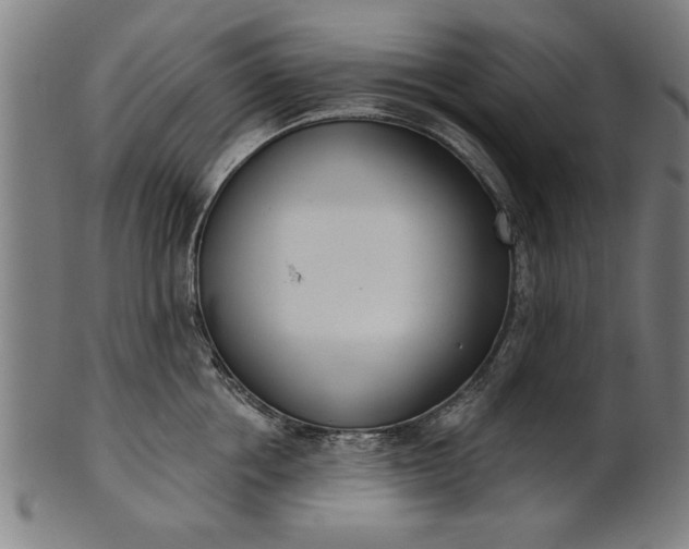 X0000101200858200807111008