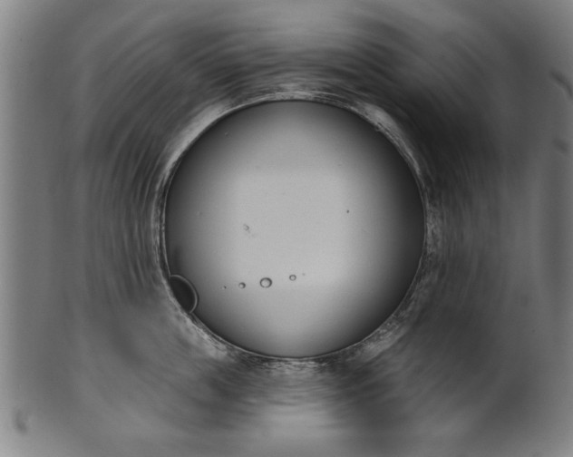 X0000101200859200807111008