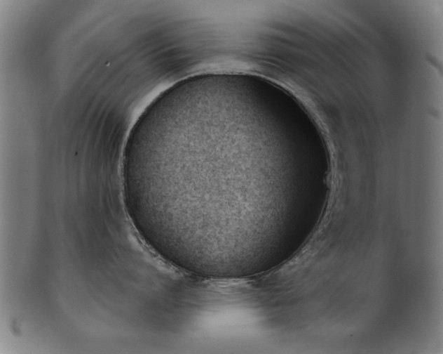 X0000101200864200807111008
