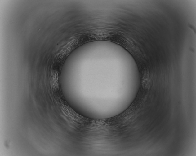 X0000101200866200807111007