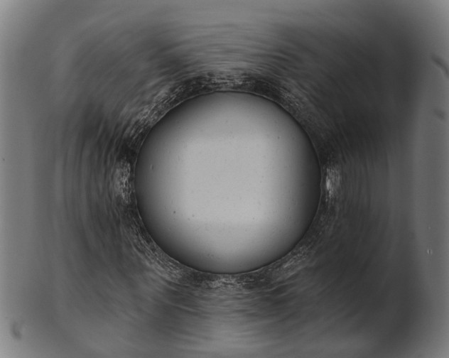 X0000101200867200807111007