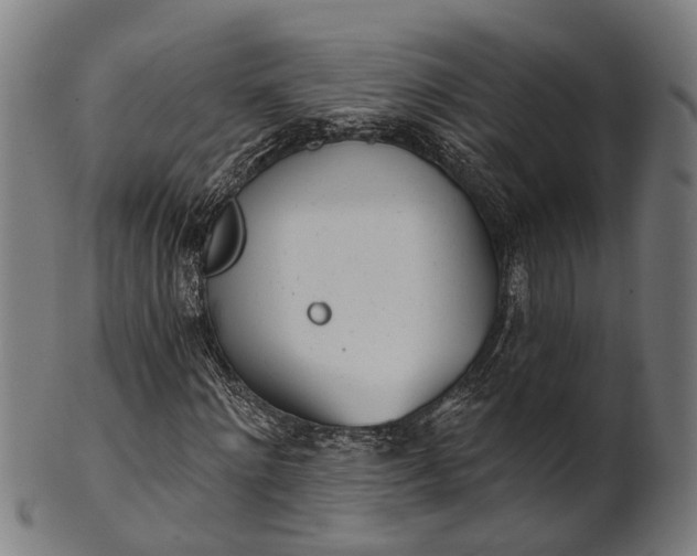 X0000101200868200807111007