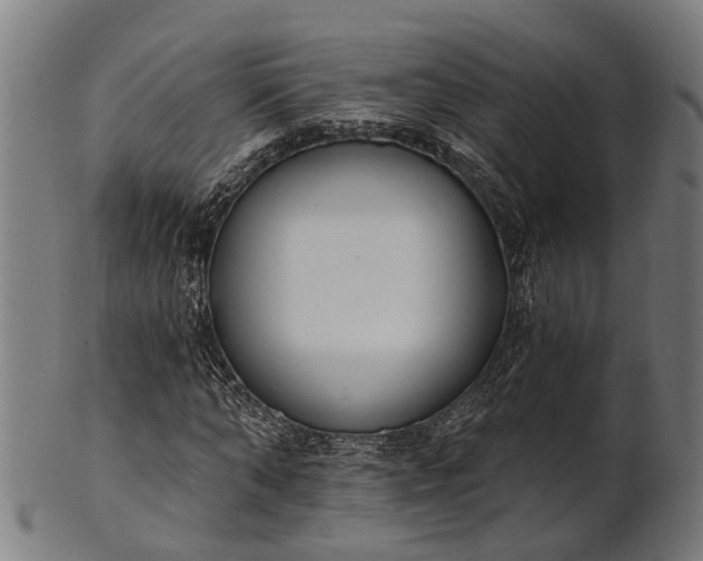 X0000101200870200807111007