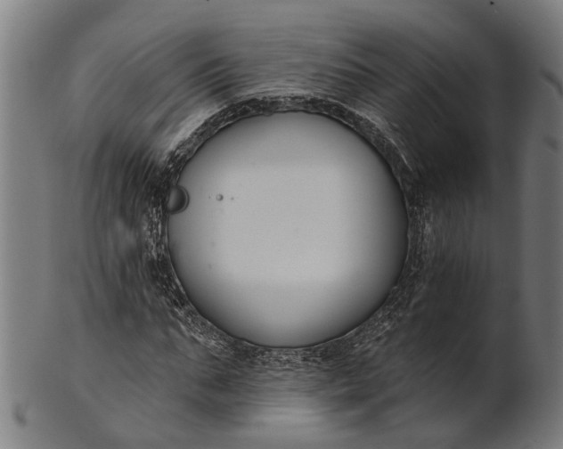 X0000101200871200807111007