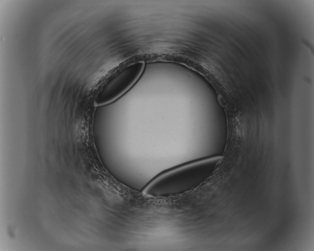 X0000101200872200807111007