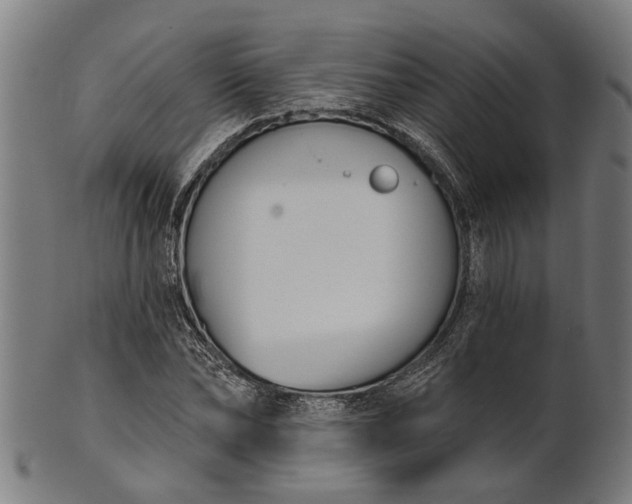 X0000101200878200807111007